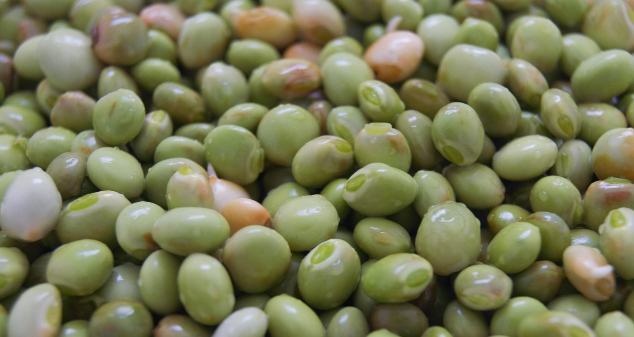 Pigeon Peas