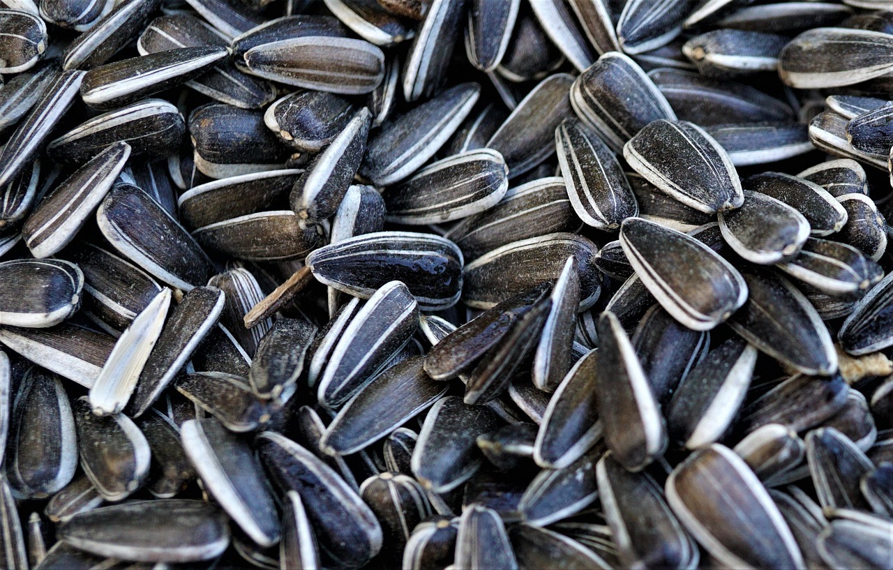 Sunflower Seeds